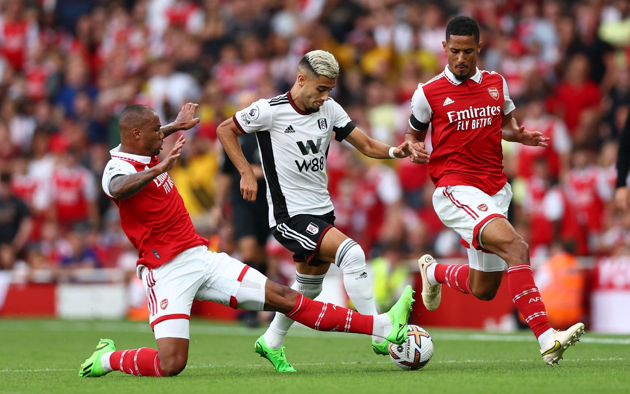 包括日本 包括日本